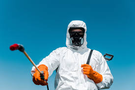 Reliable Desert Hot Springs, CA Pest Control Solutions